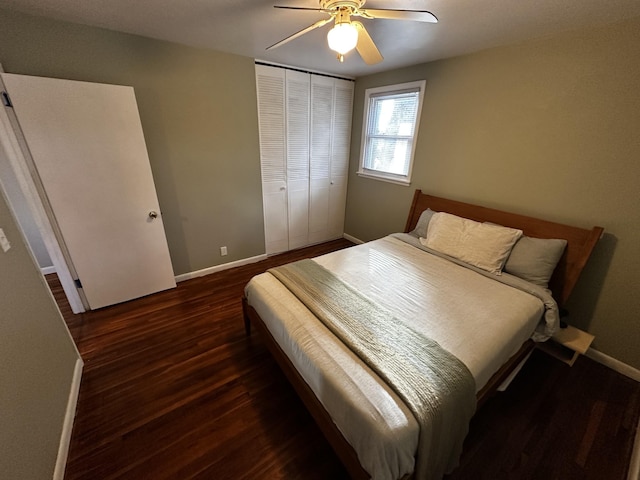 bedroom featuring dark hardwood / wood-style flooring, ceiling fan, and a closet