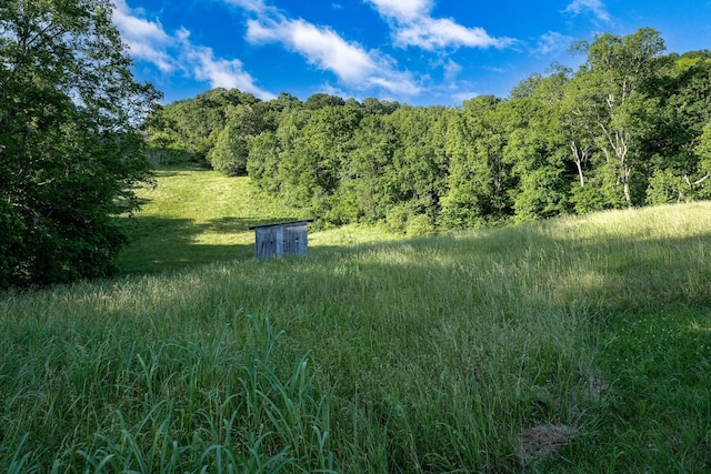 4901 Toll Dugger Rd, Culleoka, TN 38451 - photo 60