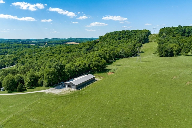 4901 Toll Dugger Rd, Culleoka, TN 38451 - photo 54