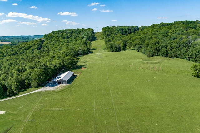 4901 Toll Dugger Rd, Culleoka, TN 38451 - photo 67