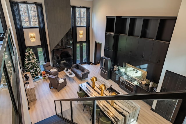 living room featuring a high ceiling, hardwood / wood-style floors, and a healthy amount of sunlight