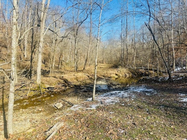 view of landscape