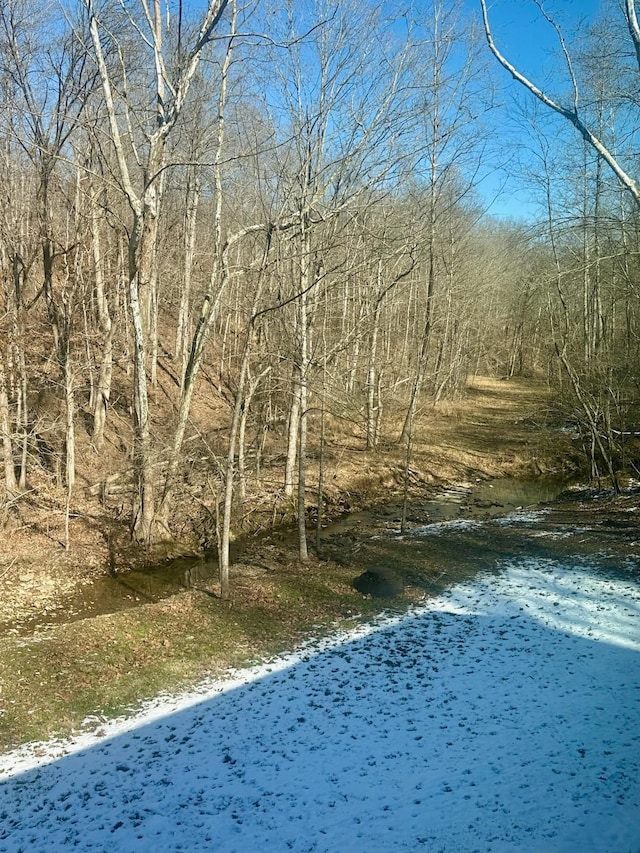 view of local wilderness