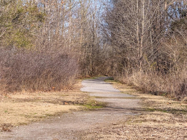 view of road