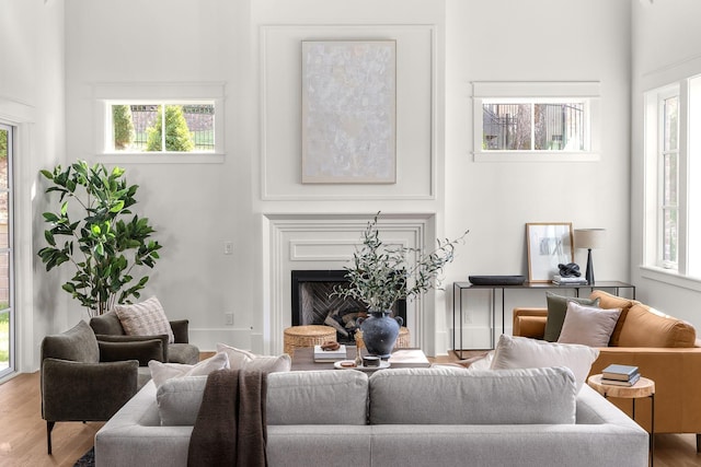 living room featuring hardwood / wood-style floors