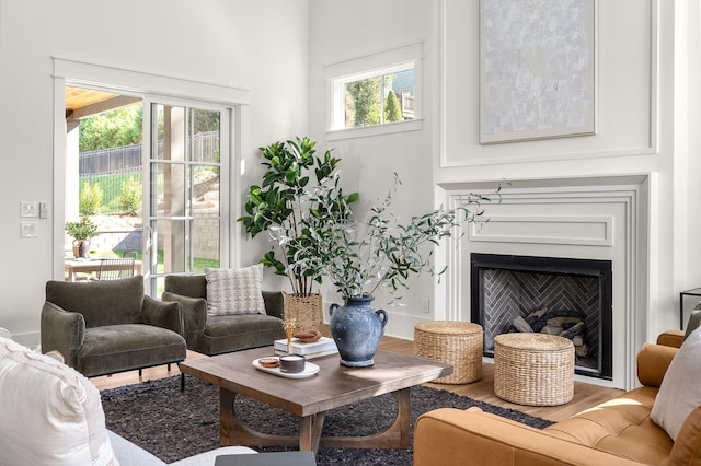 living room featuring hardwood / wood-style flooring and plenty of natural light