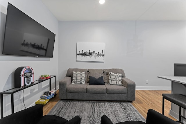 living room featuring hardwood / wood-style floors