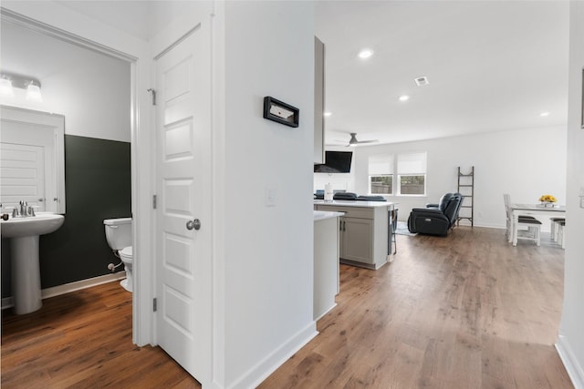 hallway with wood-type flooring and sink