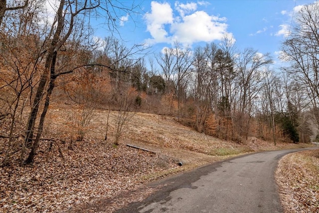 Listing photo 2 for 0 Deerwood Trl, Pegram TN 37143