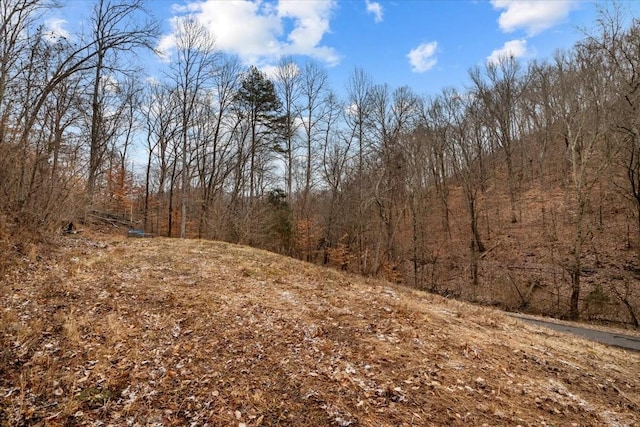 Listing photo 3 for 0 Deerwood Trl, Pegram TN 37143