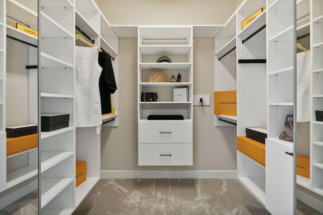 spacious closet featuring carpet