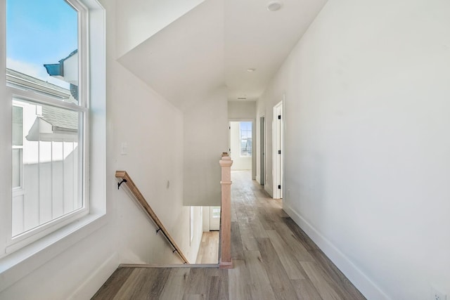 hall featuring a healthy amount of sunlight and light wood-type flooring