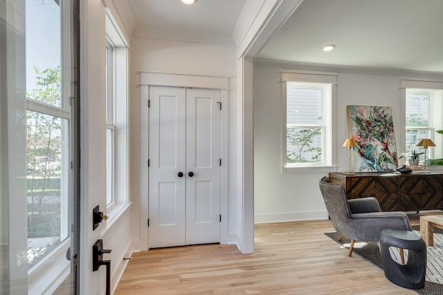 entryway featuring light hardwood / wood-style floors and a healthy amount of sunlight