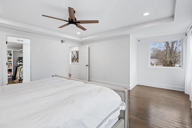 bedroom featuring a spacious closet, a raised ceiling, ceiling fan, a closet, and dark hardwood / wood-style floors