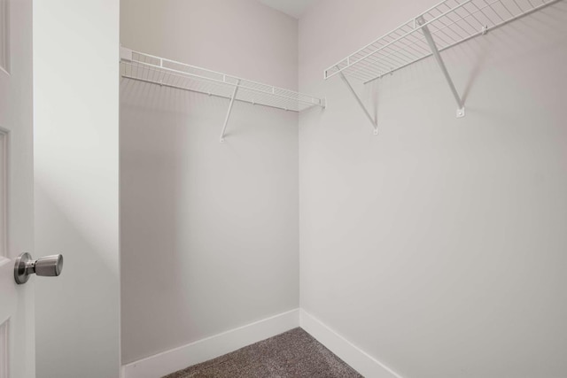 walk in closet with carpet