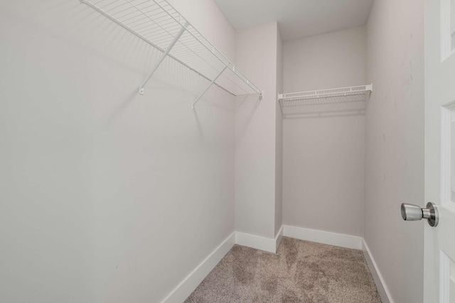 walk in closet featuring light carpet