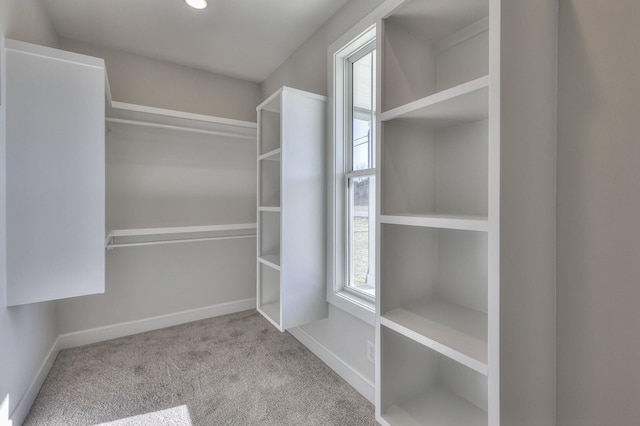 spacious closet featuring light colored carpet