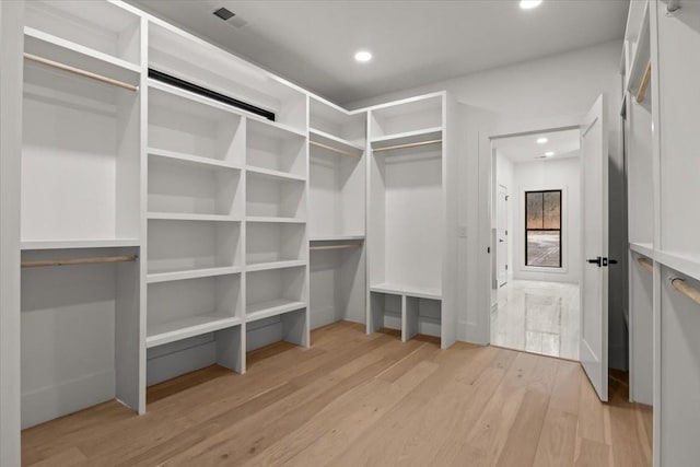 spacious closet with light wood-type flooring