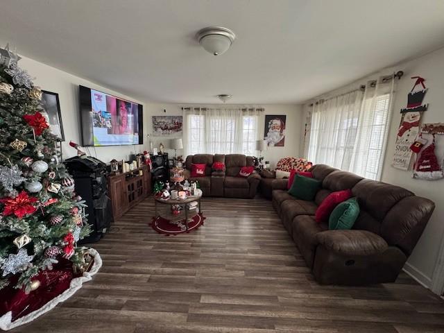 living room with dark hardwood / wood-style flooring