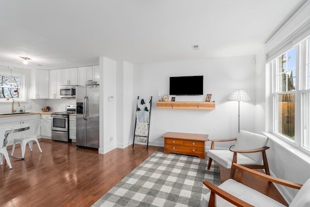 living room with dark hardwood / wood-style flooring, a healthy amount of sunlight, and sink