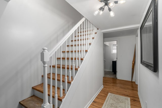 stairs with hardwood / wood-style floors and a notable chandelier