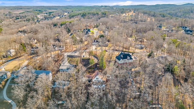 drone / aerial view featuring a mountain view