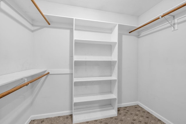 spacious closet with light carpet