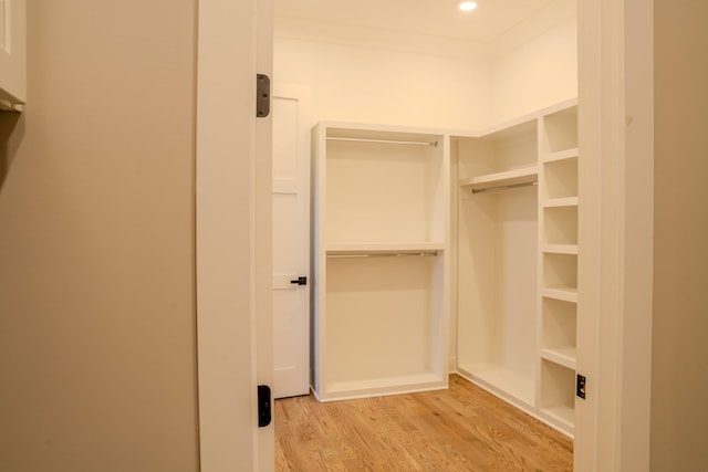 spacious closet featuring light hardwood / wood-style flooring