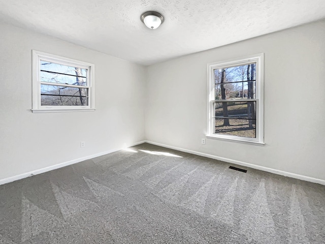 unfurnished room with carpet flooring and a textured ceiling