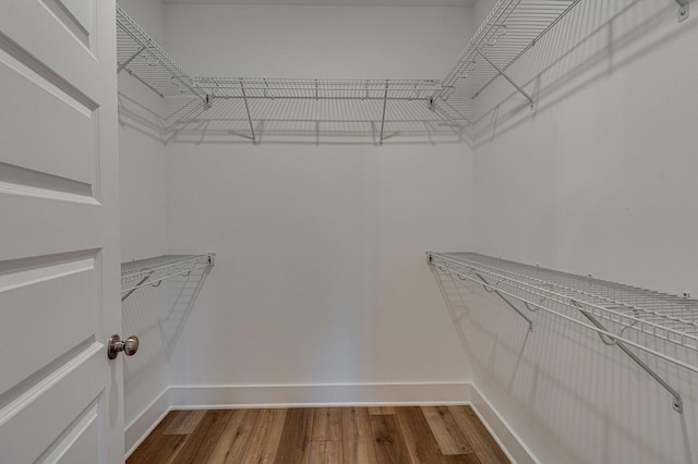 walk in closet with wood-type flooring