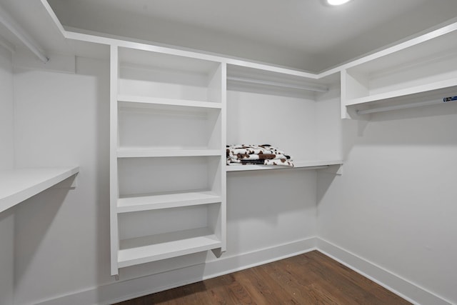 spacious closet featuring dark wood-type flooring