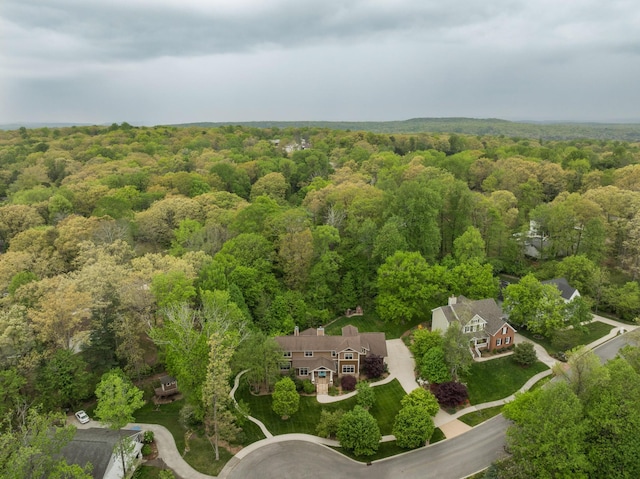 714 Berry Spring Path, Signal Mountain, TN 37377 - photo 86
