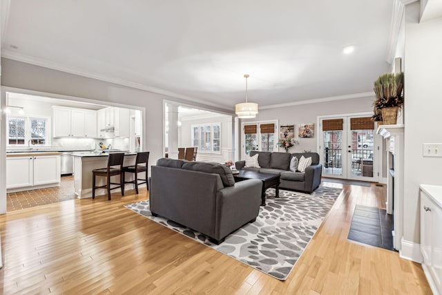 living room featuring french doors, light hardwood / wood-style flooring, plenty of natural light, and crown molding