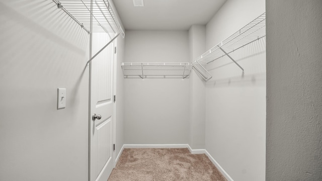 walk in closet with light carpet