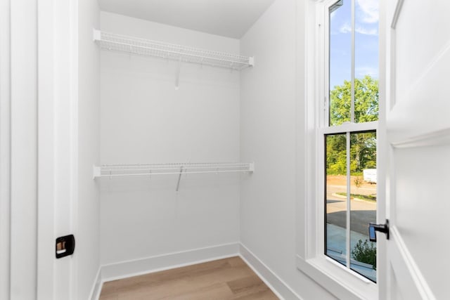 spacious closet featuring light hardwood / wood-style floors