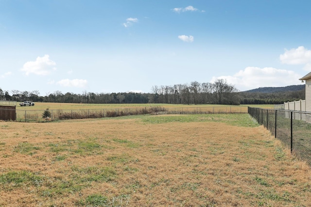 view of yard with a rural view