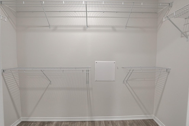 walk in closet featuring hardwood / wood-style floors