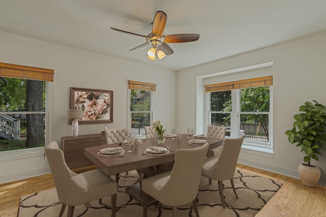 dining space with light hardwood / wood-style flooring and ceiling fan