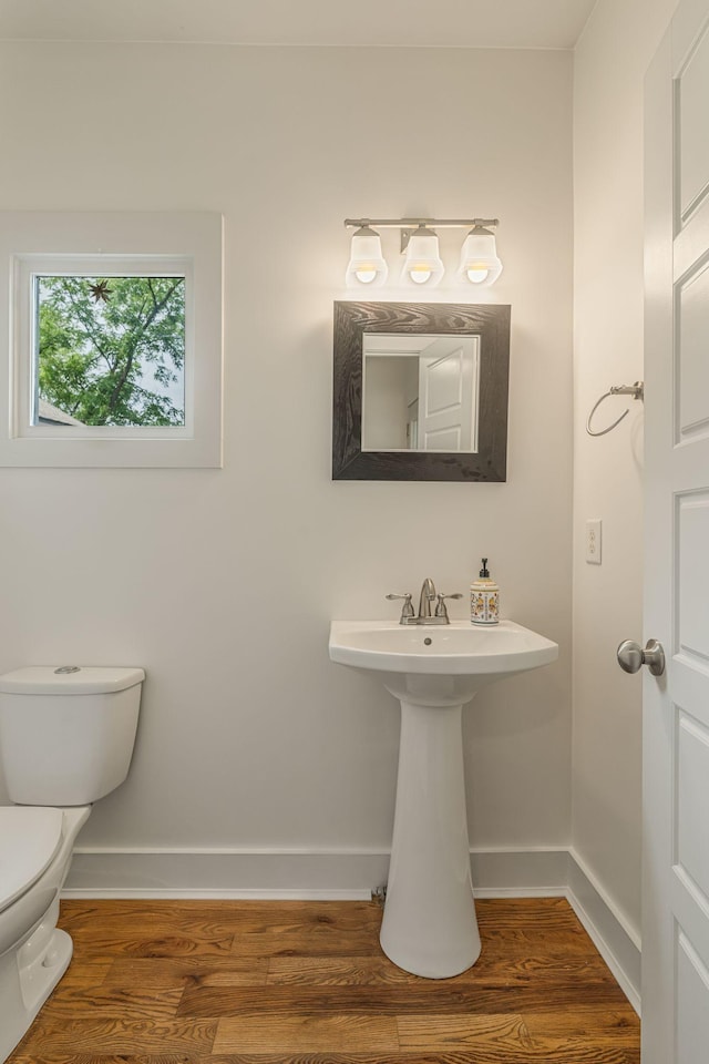 bathroom featuring sink, wood-type flooring, and toilet