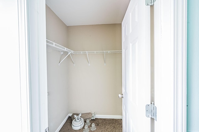 spacious closet with carpet flooring