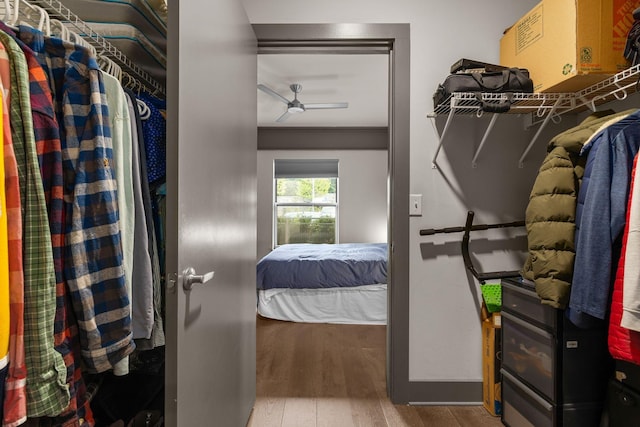 spacious closet featuring hardwood / wood-style flooring and ceiling fan