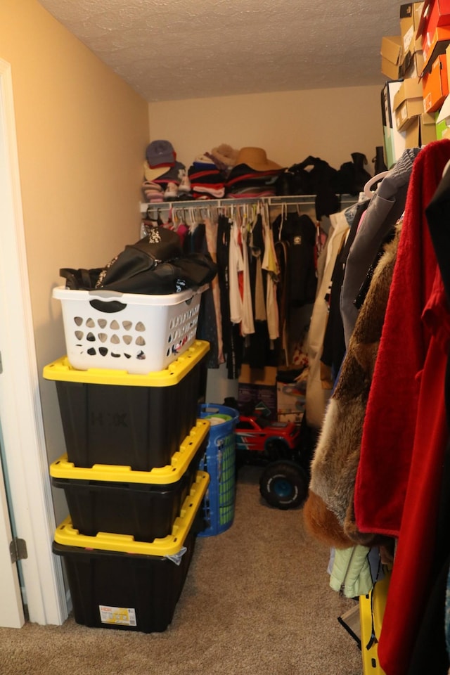 walk in closet featuring carpet flooring