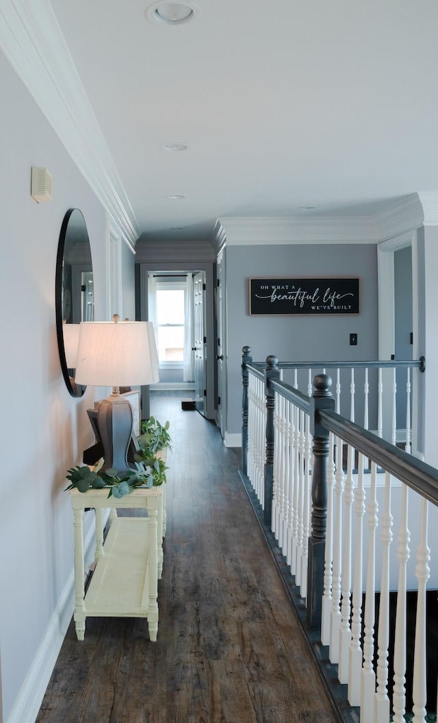 hall featuring crown molding and dark wood-type flooring