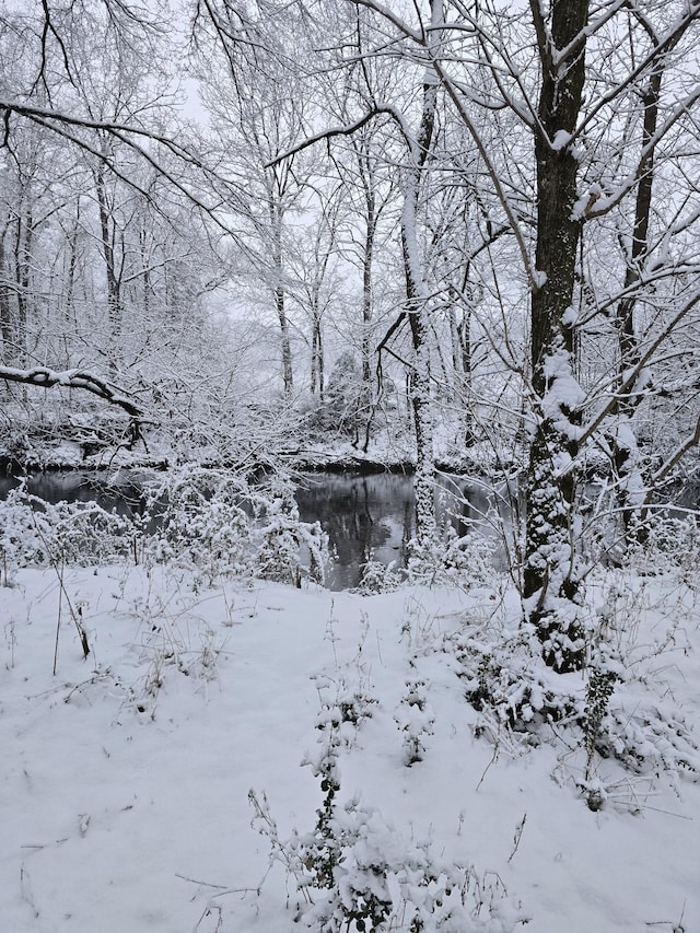 view of snow covered land