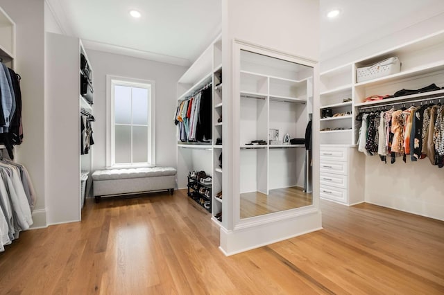 spacious closet featuring light wood-type flooring