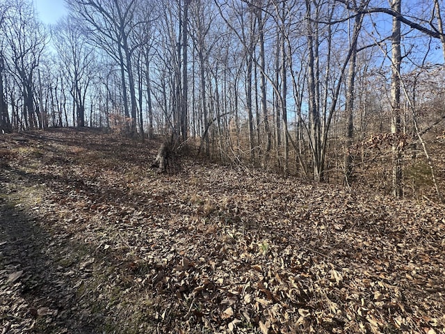 0 Highland Pl, Smithville TN, 37166 land for sale