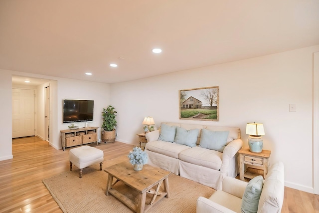 living room with wood-type flooring