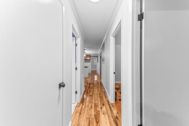 hall featuring light hardwood / wood-style flooring and ornamental molding