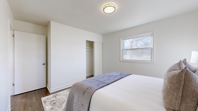 bedroom with a closet and dark wood-type flooring