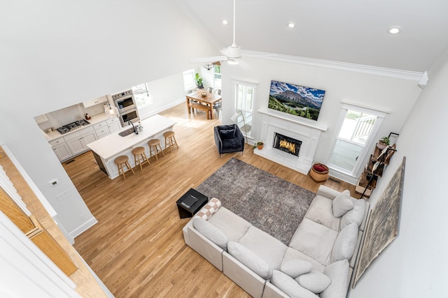 living room with ceiling fan, light hardwood / wood-style floors, and crown molding